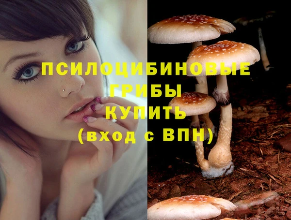 марки lsd Баксан